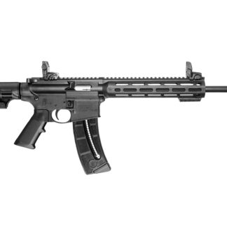 Smith and Wesson M&P15-22 Sport