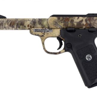 Smith and Wesson SW22 Victory