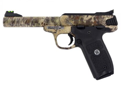 Smith and Wesson SW22 Victory