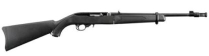 Ruger 10/22 Takedown