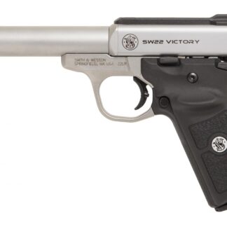 Smith and Wesson SW22 Victory Target