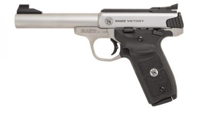 Smith and Wesson SW22 Victory Target