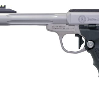 Smith and Wesson SW22 Victory Target