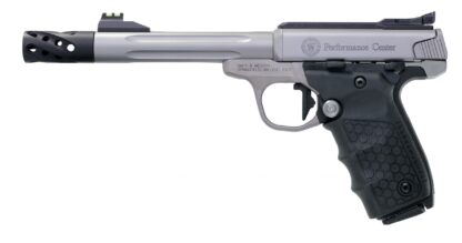 Smith and Wesson SW22 Victory Target