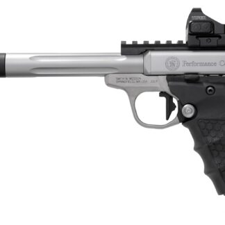 Smith and Wesson SW22 Victory Target