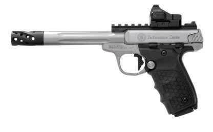 Smith and Wesson SW22 Victory Target