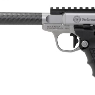 Smith and Wesson SW22 Victory Target