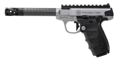 Smith and Wesson SW22 Victory Target