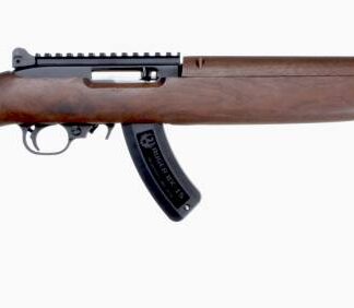 Ruger 10/22 Carbine