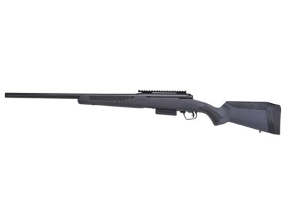 Savage Arms 220