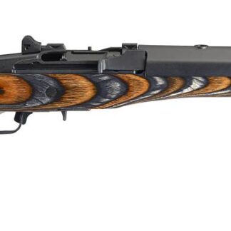 Ruger Mini-14 Ranch