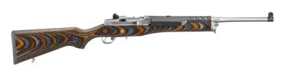 Ruger Mini-14 Ranch