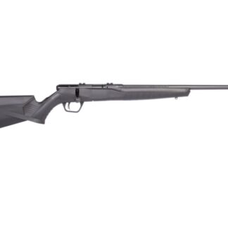 Savage Arms B17F