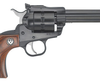 Ruger Single Ten