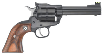 Ruger Single Ten