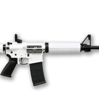 Ruger AR-556