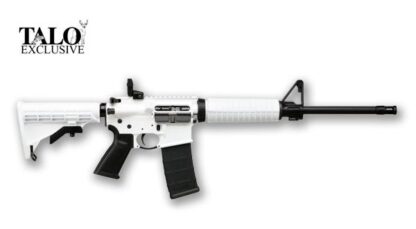 Ruger AR-556