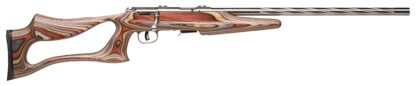 Savage Arms 93R17 BSEV