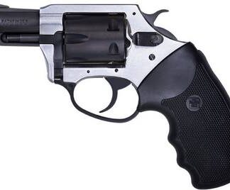 Charter Arms Pathfinder