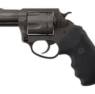 Charter Arms Pitbull