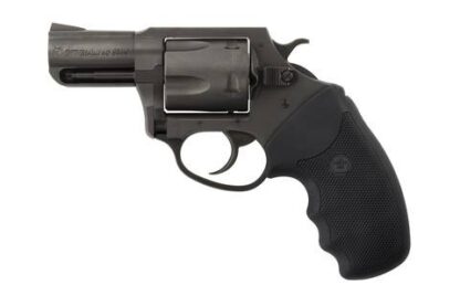 Charter Arms Pitbull