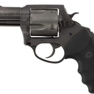 Charter Arms Pitbull