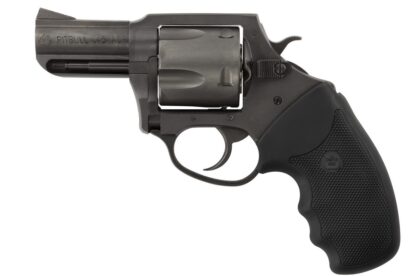 Charter Arms Pitbull