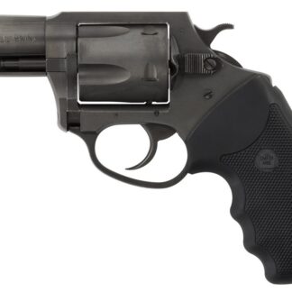 Charter Arms Pitbull