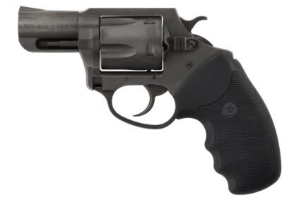 Charter Arms Pitbull