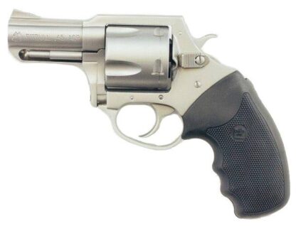 Charter Arms Pitbull