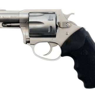 Charter Arms Pitbull