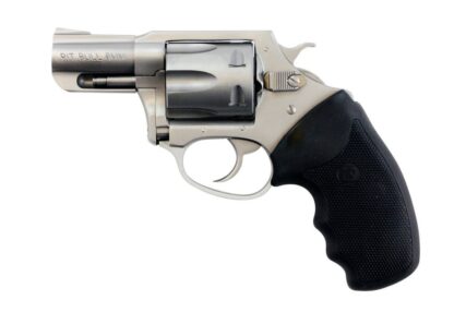 Charter Arms Pitbull