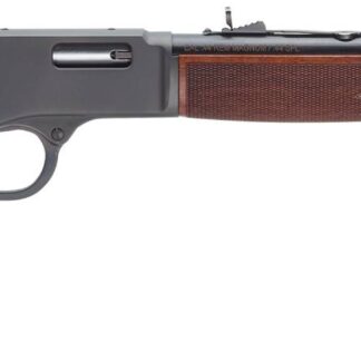 Henry Repeating Arms Big Boy Steel