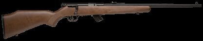 Savage Arms Mark II GY