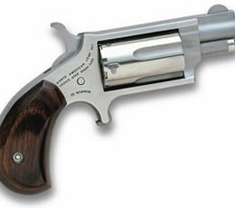 North American Arms Mini-Revolver