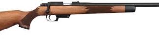 Rock Island Armory TCM 22 Rifles