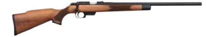 Rock Island Armory TCM 22 Rifles