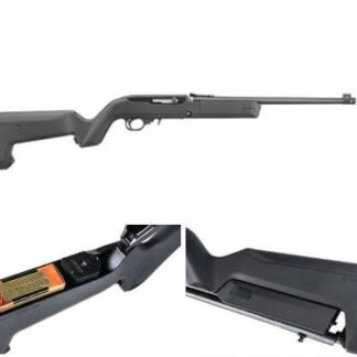 Ruger 10/22 Takedown