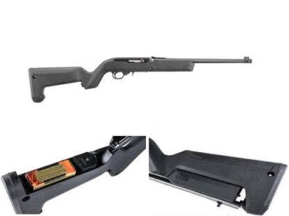 Ruger 10/22 Takedown