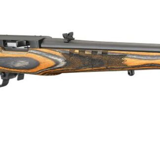 Ruger 10/22 Carbine