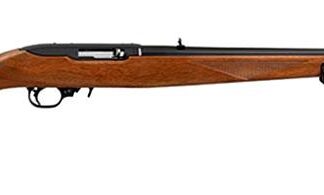 Ruger 10/22 International