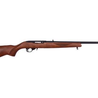 Ruger 10/22/2022