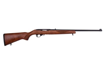 Ruger 10/22/2022