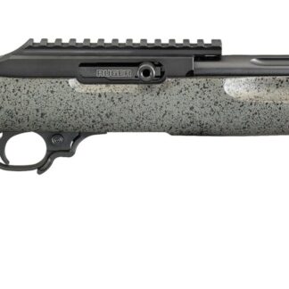 Ruger 10/22 Competition Custom Shop