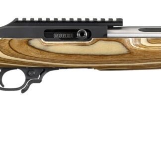 Ruger 10/22 Stainless