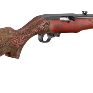 Ruger 10/22 Dragon