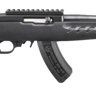 Ruger 22 Charger