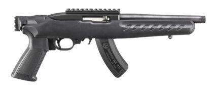 Ruger 22 Charger