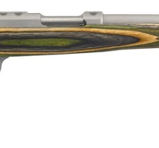 Ruger 77/22