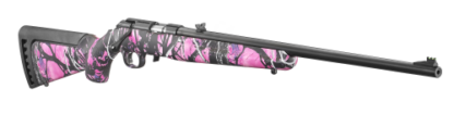 Ruger American Rimfire Standard